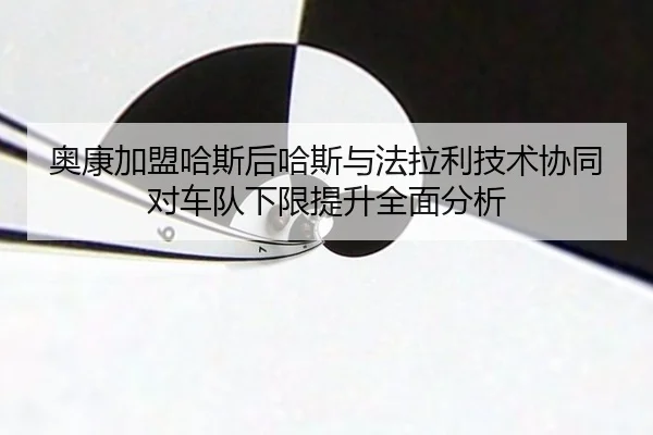 ao-kang-jia-meng-ha-si-hou-ha-si-yu-fa-la-li-ji-shu-xie-tong-dui-che-dui-xia-xian-ti-sheng-quan-mian-fen-xi-2-702.jpg